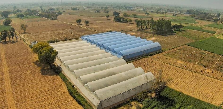 What are the benefits of Polyhouse Cultivation?'s image