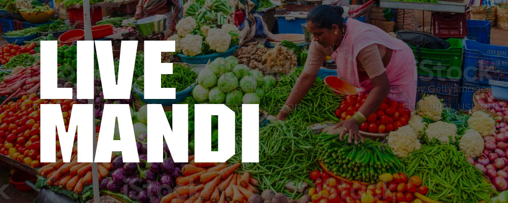 Today’s Mandi Prices, Market Rates in India's image