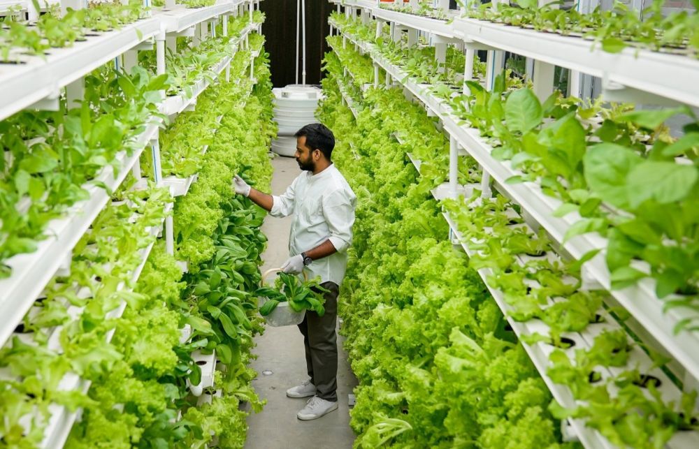 Top 7 Global Innovations in Hi-Tech Agriculture: Transforming the Agricultural Landscape's image