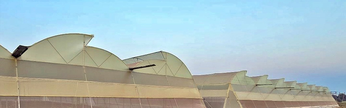 Ginegar Suncover 205N Image