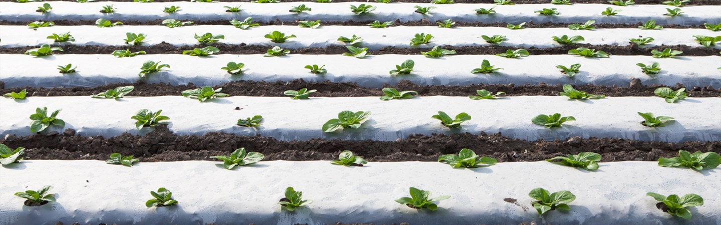 Ginegar Embossed Mulch Image