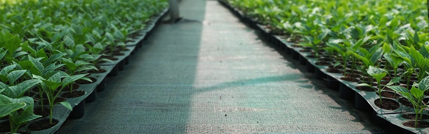Weed Mat (Ground Cover) 100 GSM Image