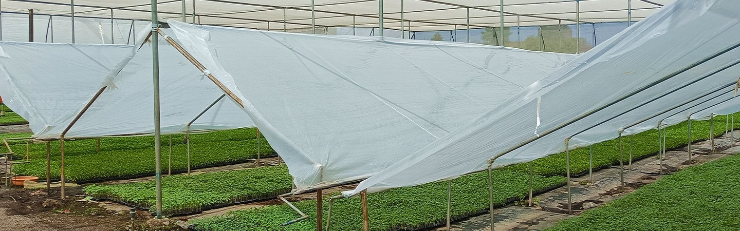 Anti Drip Clear Film for Nursery Image