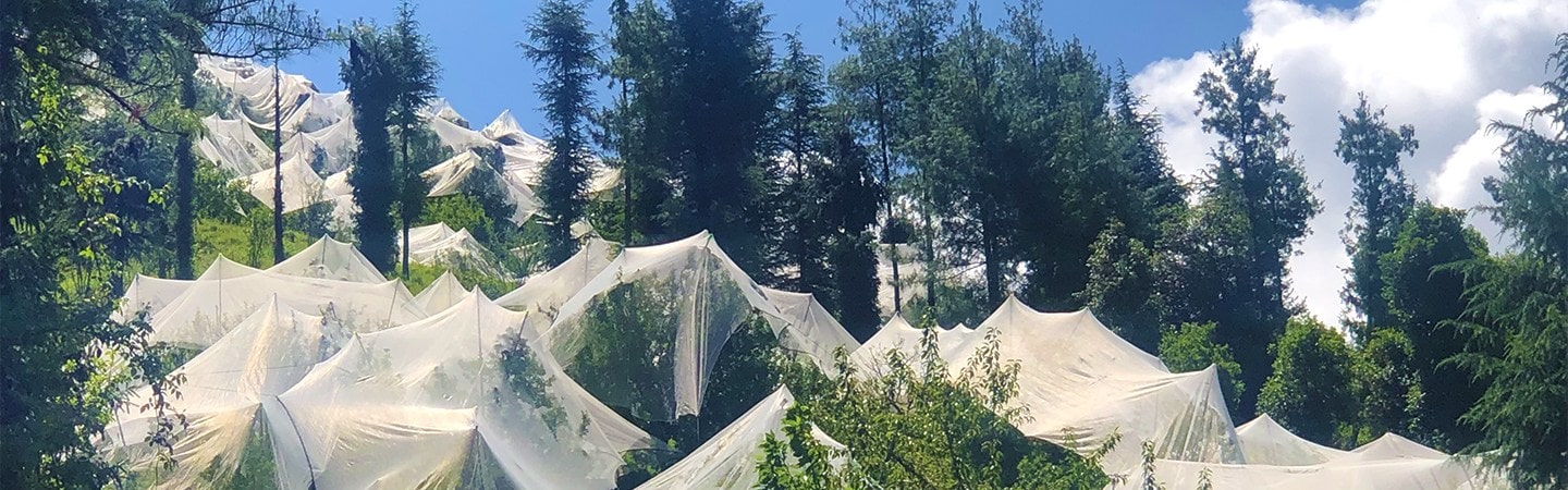 Agriplast Anti-Hail Net Raschel Image