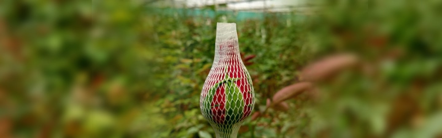 Agriplast Rose Bud Cap Image