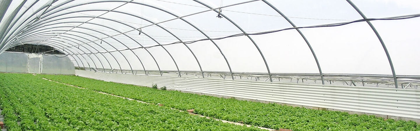Poly Tunnel