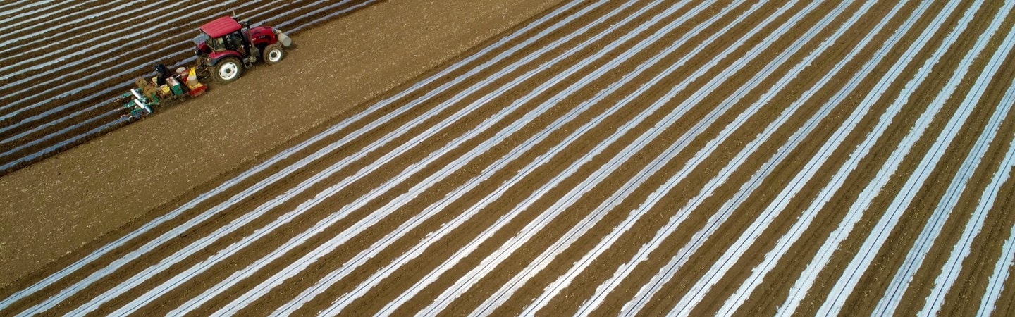 Soil Solarization Film Image