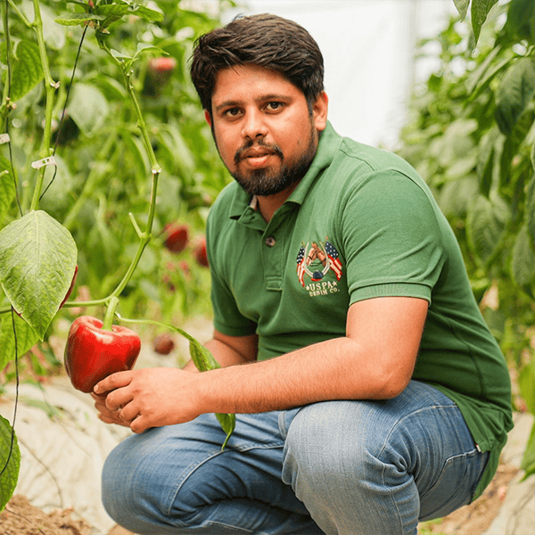 Siddhant Sisodia's image