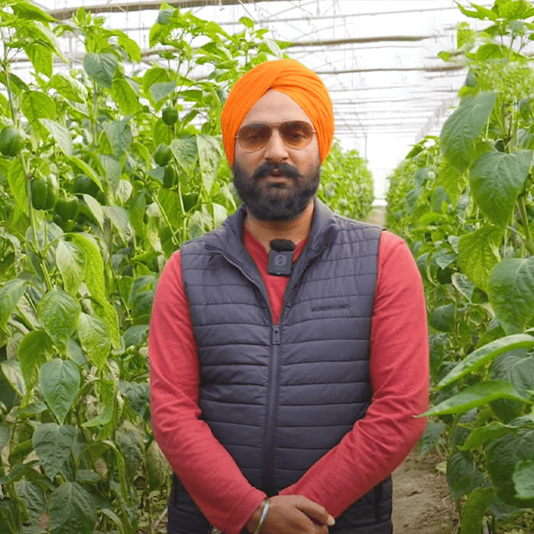 Devendra Singh's image